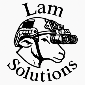 Lam Solutions Consultation